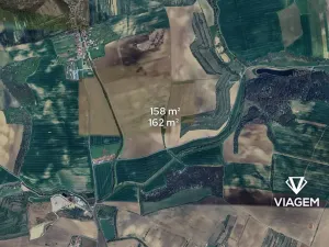 Prodej lesa, Syrovín, 320 m2