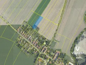 Prodej pole, Toušice, 3554 m2