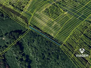 Prodej lesa, Snovídky, 1073 m2