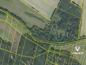 Prodej podílu lesa, Sokoleč, 1999 m2