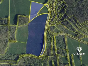 Prodej podílu pole, Nová Ves, 12847 m2