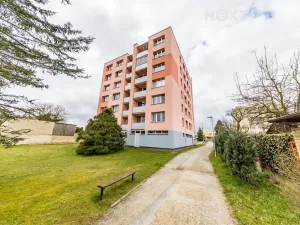 Prodej bytu 3+1, Nová Včelnice, Na Hliněnce, 74 m2