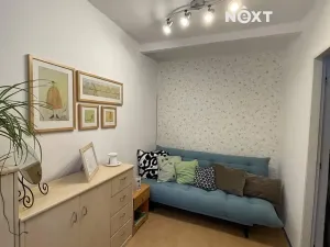 Prodej zemědělské usedlosti, Lhenice, Netolická, 400 m2