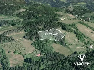 Prodej pole, Francova Lhota, 7567 m2