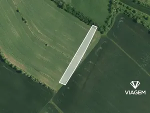 Prodej podílu pole, Blučina, 990 m2