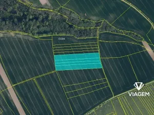 Prodej podílu pole, Želízy, 6748 m2