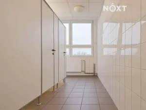 Pronájem kanceláře, České Budějovice, K. Světlé, 35 m2