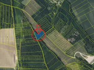 Prodej podílu lesa, Dolní Beřkovice, 1050 m2