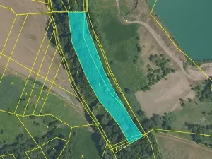 Prodej podílu lesa, Záryby, 1009 m2