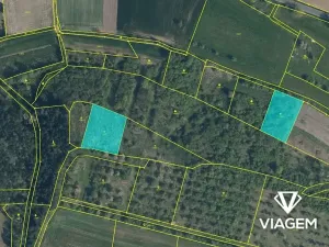 Prodej podílu zahrady, Bechlín, 197 m2