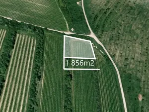 Prodej sadu/vinice, Šardice, 1856 m2