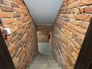 Pronájem bytu 1+kk, České Budějovice, Družstevní, 30 m2