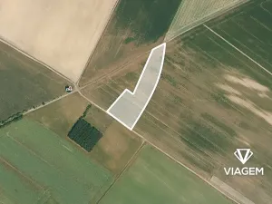 Prodej podílu pole, Sudovo Hlavno, 4453 m2