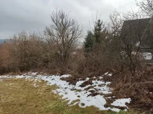 Prodej louky, Letovice, 34048 m2