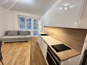 Pronájem bytu 1+kk, Ostrava - Poruba, Španielova, 31 m2
