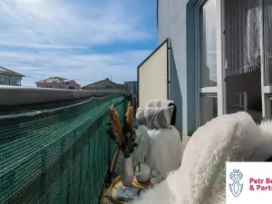 Prodej bytu 2+1, Rakovník, Otýlie Beníškové, 66 m2