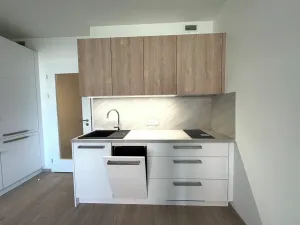 Pronájem bytu 1+kk, Praha - Vysočany, Poděbradská, 30 m2
