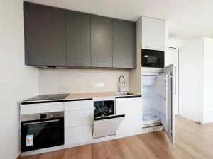 Pronájem bytu 1+kk, Mladá Boleslav, Nad Červenkou, 35 m2