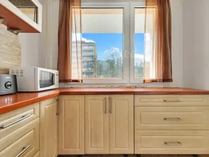 Prodej bytu 4+1, Most, K. H. Borovského, 84 m2