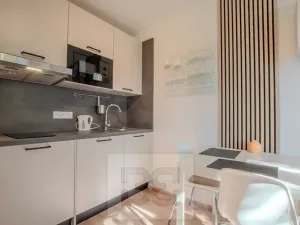 Pronájem bytu 1+kk, Praha - Vršovice, Kubánské náměstí, 19 m2