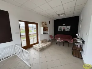Prodej obchodního prostoru, Bystřice pod Hostýnem, Přerovská, 420 m2