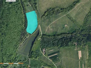 Prodej louky, Velký Ořechov, 21368 m2