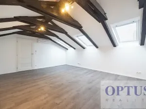 Pronájem bytu 6+kk a větší, Praha - Staré Město, Dušní, 218 m2