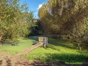 Prodej pozemku pro bydlení, Spálené Poříčí, 4447 m2