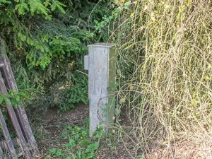 Prodej pozemku pro bydlení, Spálené Poříčí, 4447 m2