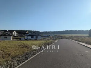 Prodej pozemku pro bydlení, Olešná, 1130 m2