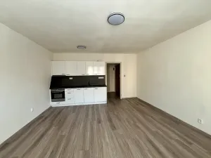 Prodej bytu 1+kk, Praha - Strašnice, V předpolí, 30 m2