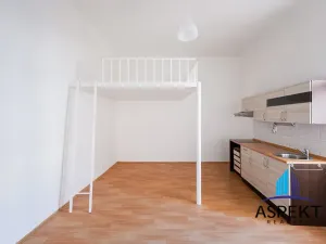 Pronájem bytu 1+kk, Praha - Vinohrady, Jana Masaryka, 32 m2