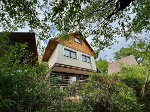 Prodej chaty, Borotice, 49 m2