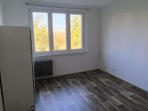 Prodej bytu 1+kk, Cheb, 17. listopadu, 23 m2
