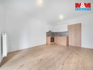 Pronájem bytu 1+kk, Třemošná, Školní, 32 m2