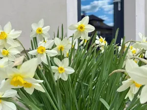 Prodej rodinného domu, Spáňov, 100 m2