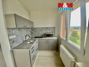 Pronájem bytu 1+1, Ostrava, Resslova, 27 m2