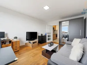 Prodej bytu 1+1, Brno, Novoměstská, 28 m2