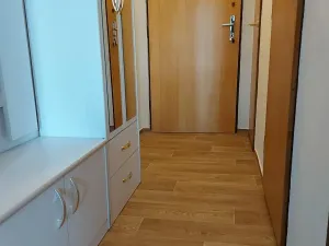 Pronájem bytu 1+kk, Praha - Vysočany, Kolbenova, 30 m2