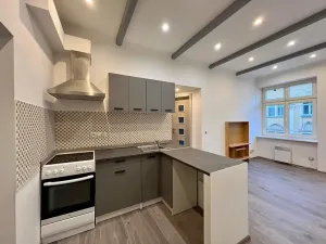 Pronájem bytu 2+1, Karlovy Vary, K. Čapka, 37 m2