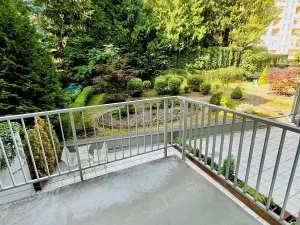 Pronájem kanceláře, Brno, Cihlářská, 38 m2