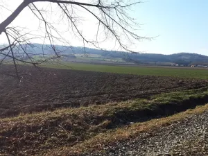 Prodej pozemku pro bydlení, Libina, 12500 m2