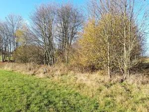 Prodej pozemku pro bydlení, Hynčina, 2595 m2