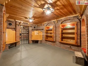 Prodej rodinného domu, Mladá Boleslav, Viničná, 456 m2