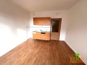 Pronájem bytu 1+kk, Plzeň, Dlouhá, 20 m2