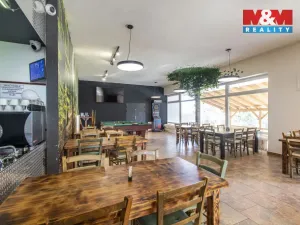 Prodej restaurace, Slezské Rudoltice, 360 m2