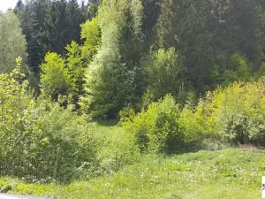 Prodej pozemku pro bydlení, Tanvald, 7310 m2