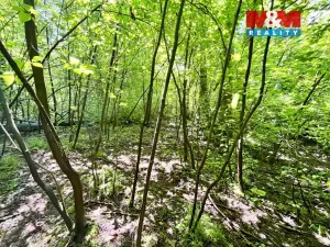 Prodej rybníku, Skalice u České Lípy, 3255 m2