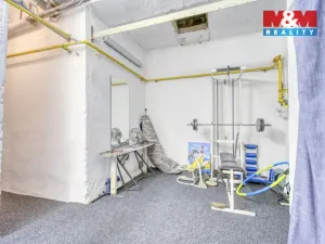 Prodej rodinného domu, Tachov, Lesní, 165 m2