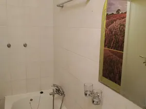 Pronájem bytu 1+kk, Prostějov, Marie Pujmanové, 33 m2